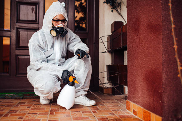 Reliable Wasp Removal contractor in Royal Palm Beach, FL by Show Me Pest Control
